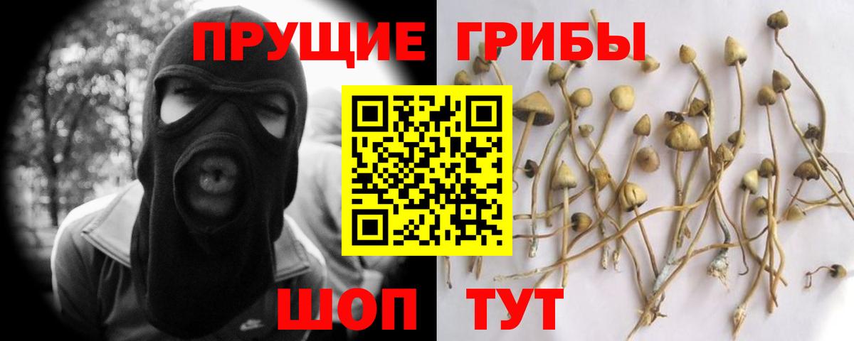 Галлюциногенные грибы Magic Shrooms  Вход с VPN  Галлюциногенные грибы мицелий  Вышний Волочёк 